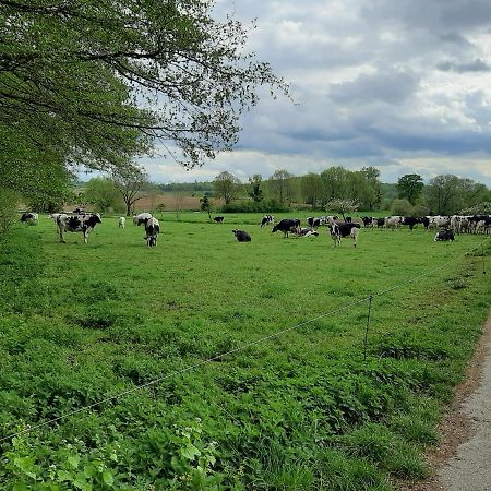 Familienfreundliche Ferienwohnung Auf Dem Lande Monteur Wohnung Hessisch Oldendorf Bagian luar foto